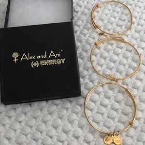 Alex and Ani Expandable Bangles – Gold/No Charm